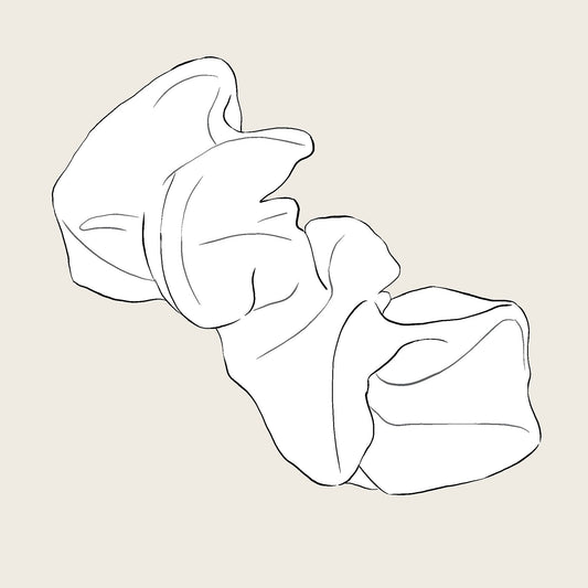 White scrunchie on a beige background sketch